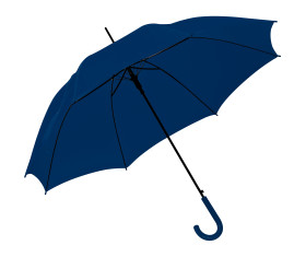 Automatic umbrella, plastic handle